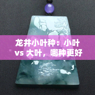 龙井小叶种：小叶 vs 大叶，哪种更好？