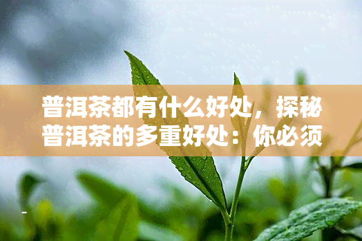 普洱茶都有什么好处，探秘普洱茶的多重好处：你必须知道的优点