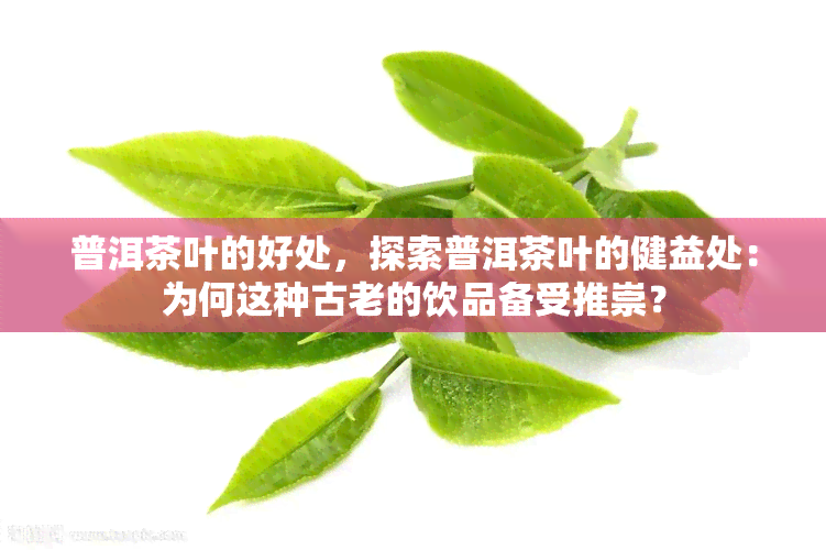 普洱茶叶的好处，探索普洱茶叶的健益处：为何这种古老的饮品备受推崇？