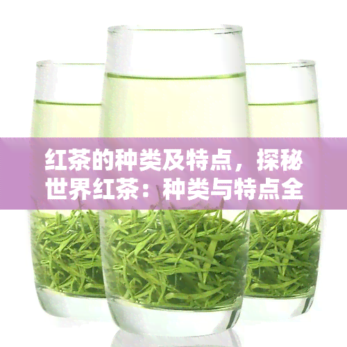 红茶的种类及特点，探秘世界红茶：种类与特点全解析