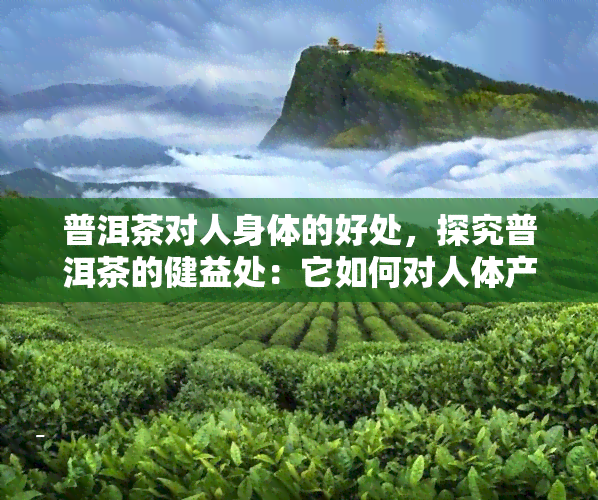 普洱茶对人身体的好处，探究普洱茶的健益处：它如何对人体产生积极影响？