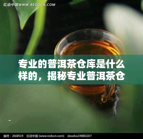 专业的普洱茶仓库是什么样的，揭秘专业普洱茶仓库：必备条件与管理规