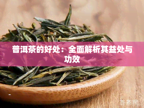 普洱茶的好处：全面解析其益处与功效