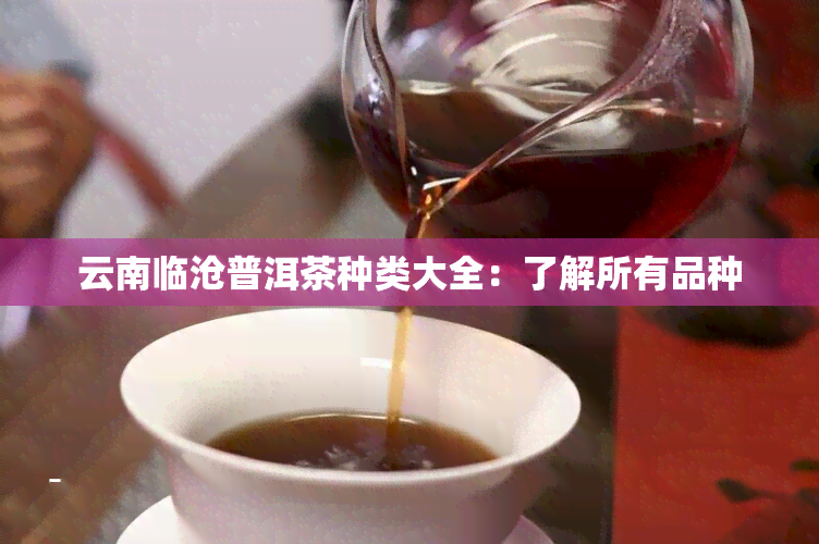 云南临沧普洱茶种类大全：了解所有品种