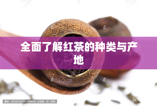 全面了解红茶的种类与产地