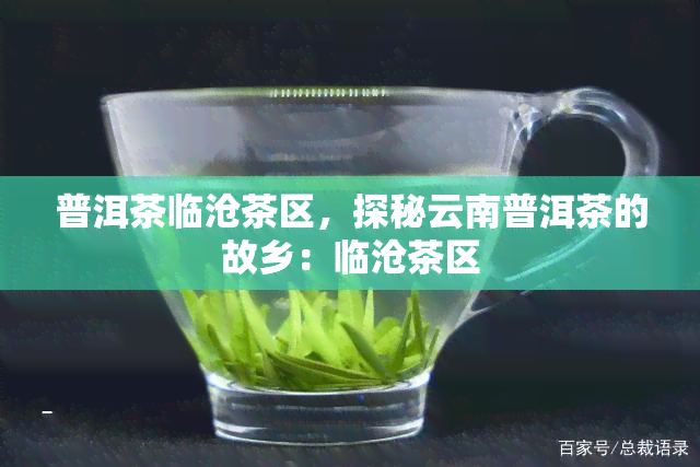 普洱茶临沧茶区，探秘云南普洱茶的故乡：临沧茶区