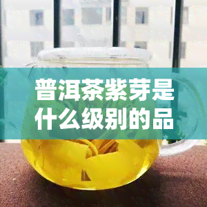 普洱茶紫芽是什么级别的品种，探秘普洱茶：紫芽是何级别的品种？