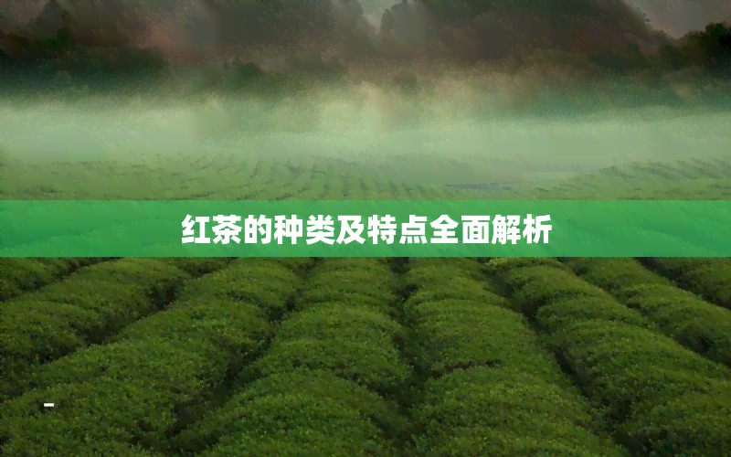 红茶的种类及特点全面解析