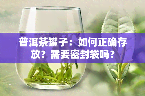 普洱茶罐子：如何正确存放？需要密封袋吗？