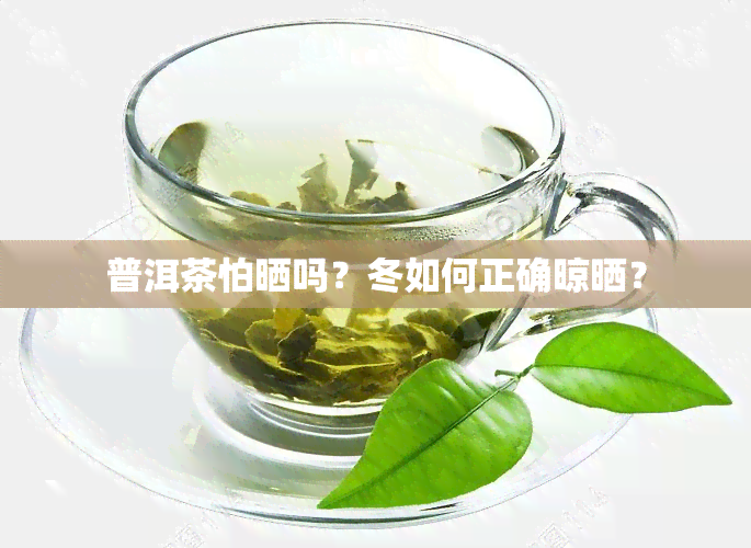 普洱茶怕晒吗？冬如何正确晾晒？