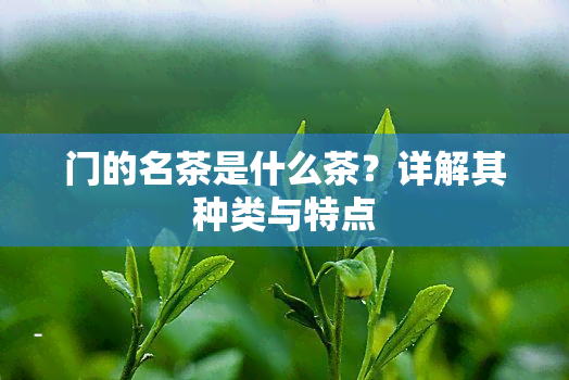 门的名茶是什么茶？详解其种类与特点