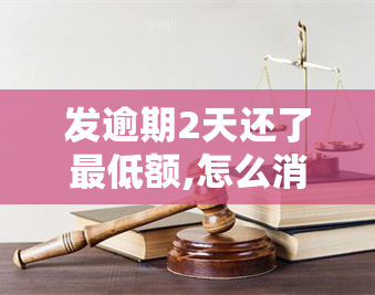 发逾期2天还了更低额,怎么消费额度变几十元了，信用卡逾期2天还清更低额，为何消费额度骤降至数十元？