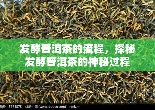 发酵普洱茶的流程，探秘发酵普洱茶的神秘过程