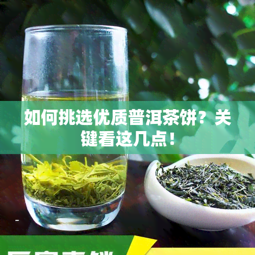 如何挑选优质普洱茶饼？关键看这几点！