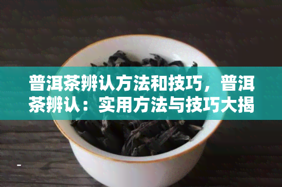 普洱茶辨认方法和技巧，普洱茶辨认：实用方法与技巧大揭秘