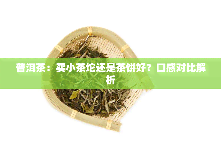 普洱茶：买小茶坨还是茶饼好？口感对比解析