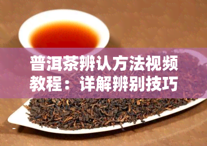 普洱茶辨认方法视频教程：详解辨别技巧与步骤