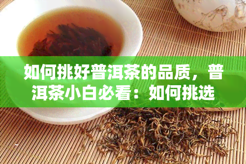 如何挑好普洱茶的品质，普洱茶小白必看：如何挑选优质普洱茶？