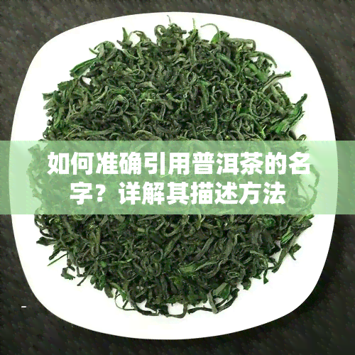 如何准确引用普洱茶的名字？详解其描述方法