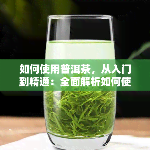 如何使用普洱茶，从入门到精通：全面解析如何使用普洱茶