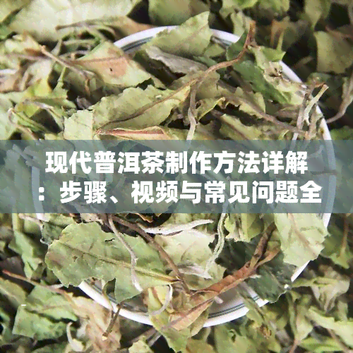 现代普洱茶制作方法详解：步骤、视频与常见问题全解析