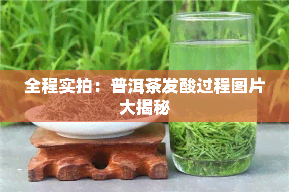 全程实拍：普洱茶发酸过程图片大揭秘