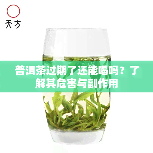 普洱茶过期了还能喝吗？了解其危害与副作用