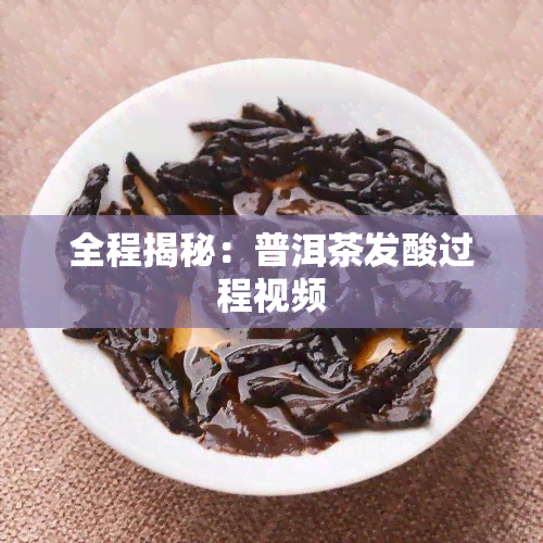 全程揭秘：普洱茶发酸过程视频