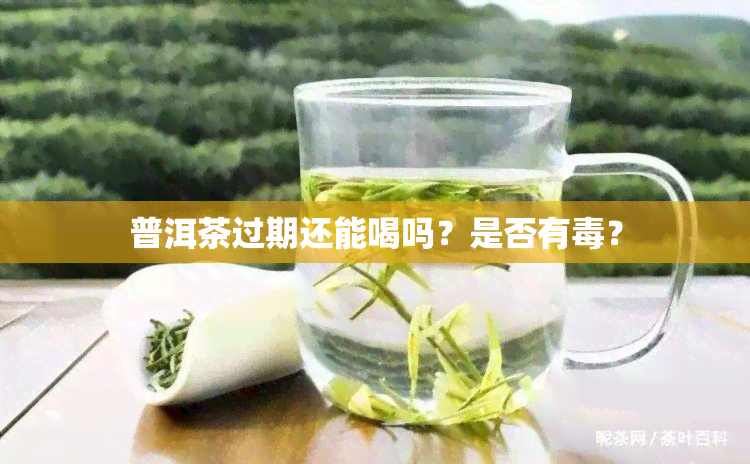 普洱茶过期还能喝吗？是否有？