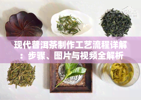 现代普洱茶制作工艺流程详解：步骤、图片与视频全解析