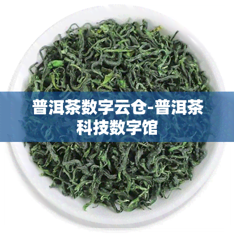 普洱茶数字云仓-普洱茶科技数字馆