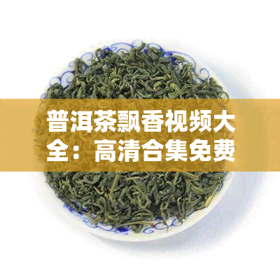 普洱茶飘香视频大全：高清合集免费下载