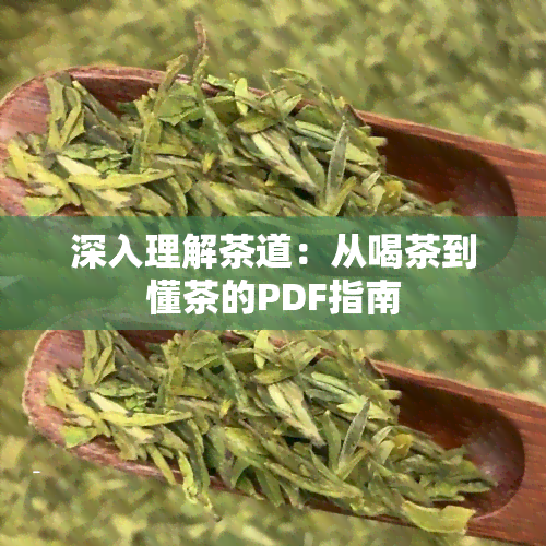 深入理解茶道：从喝茶到懂茶的PDF指南