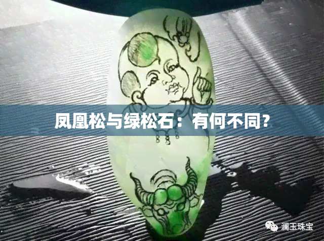 凤凰松与绿松石：有何不同？