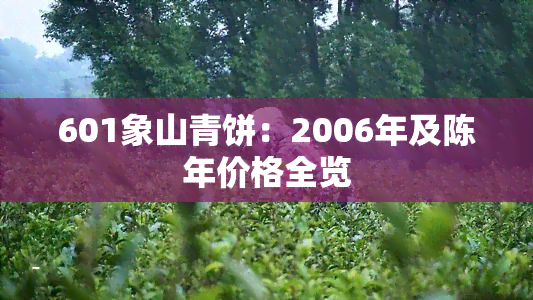 601象山青饼：2006年及陈年价格全览