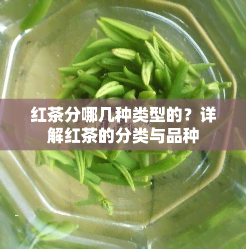 红茶分哪几种类型的？详解红茶的分类与品种