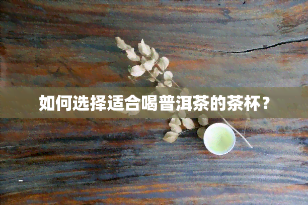 如何选择适合喝普洱茶的茶杯？