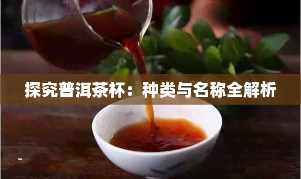 探究普洱茶杯：种类与名称全解析