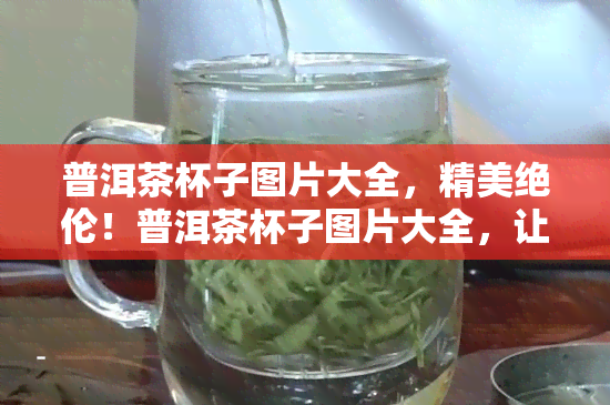 普洱茶杯子图片大全，精美绝伦！普洱茶杯子图片大全，让你一饱眼福！