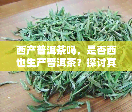 西产普洱茶吗，是否西也生产普洱茶？探讨其产地与品质