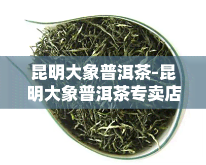 昆明大象普洱茶-昆明大象普洱茶专卖店