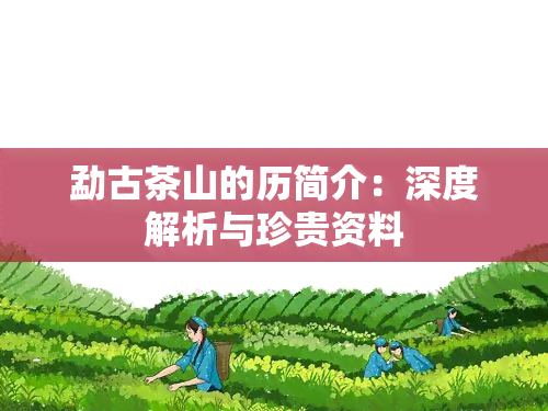 勐古茶山的历简介：深度解析与珍贵资料