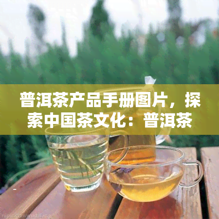 普洱茶产品手册图片，探索中国茶文化：普洱茶产品手册图片大全