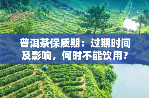 普洱茶保质期：过期时间及影响，何时不能饮用？