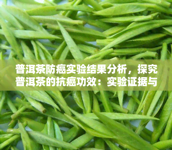 普洱茶防癌实验结果分析，探究普洱茶的抗癌功效：实验证据与结果分析