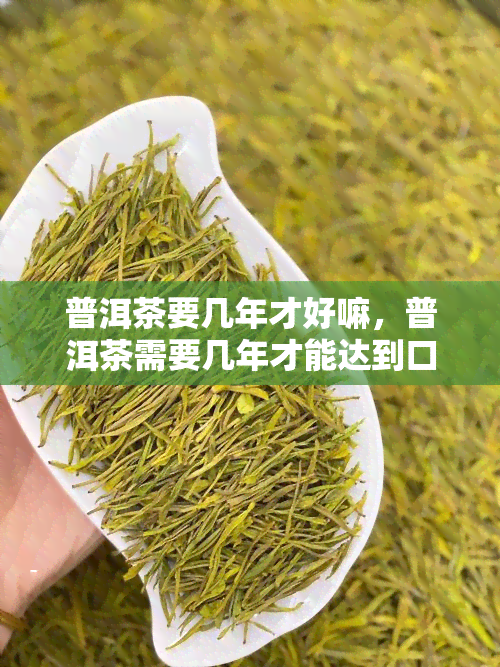 普洱茶要几年才好嘛，普洱茶需要几年才能达到口感？