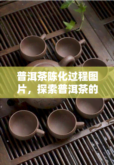 普洱茶陈化过程图片，探索普洱茶的美妙陈化过程：一幅图让你了解全过程