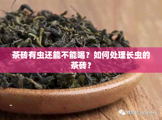 茶砖有虫还能不能喝？如何处理长虫的茶砖？