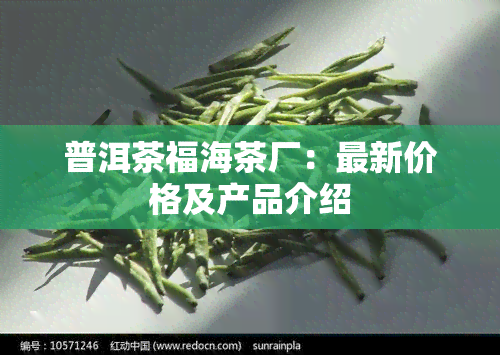 普洱茶福海茶厂：最新价格及产品介绍