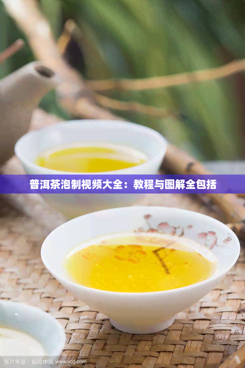 普洱茶泡制视频大全：教程与图解全包括